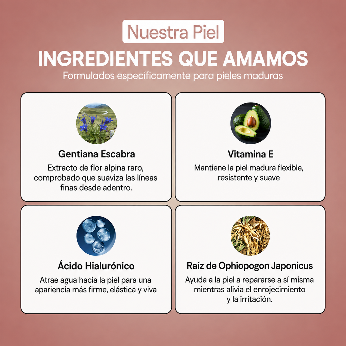 Base 4 en 1 Adaptable